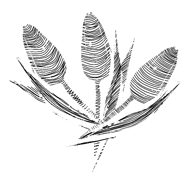 Psychoterapia Gestalt Kraków Psychoterapia indywidualna Kraków oferta psychoterapii Gestalt Konsultacja psychoterapeutyczna Kraków Kinga Śliwka psychoterapeutka Gestalt