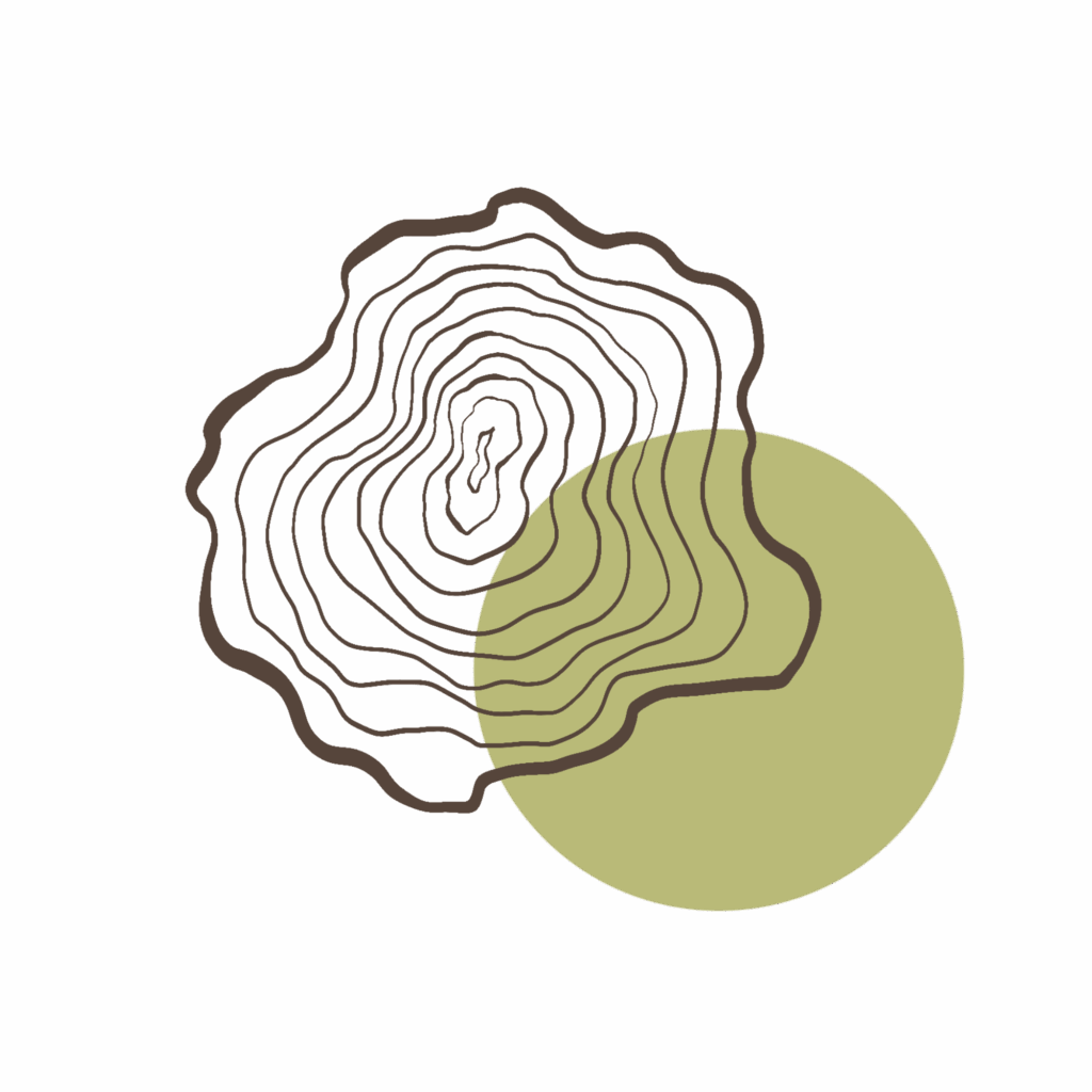 Psychoterapia Gestalt Kraków Psychoterapia indywidualna Kraków oferta psychoterapii Gestalt Konsultacja psychoterapeutyczna Kraków Kinga Śliwka - psychoterapeutka Gestalt