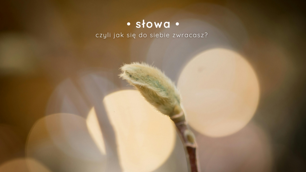 słowa psychoterapia