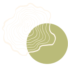 Psychoterapia Gestalt Kraków Psychoterapia indywidualna Kraków oferta psychoterapii Gestalt Konsultacja psychoterapeutyczna Kraków Kinga Śliwka - psychoterapeutka Gestalt